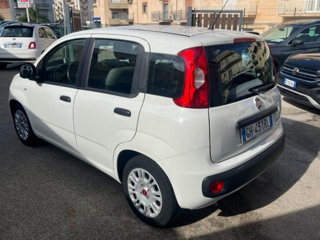 FIAT Panda 1.0 FireFly S&S Hybrid Immagine 3