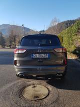 FORD Kuga 1.5 EcoBoost 150 CV 2WD ST-Line