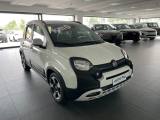 FIAT New Panda Pandina 1.0 FireFly 70 CV Hybrid Cross KM0 MY24