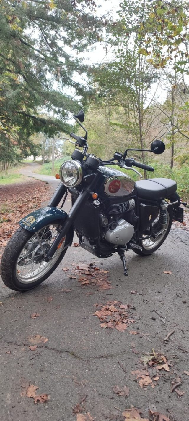 BSA Gold Star 650 AZIENDALE Immagine 3