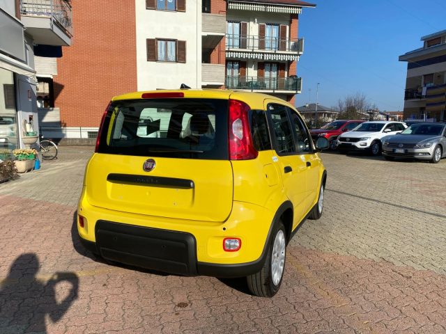 FIAT Panda 1.0 *ADAS Hybrid *Pandina Immagine 4