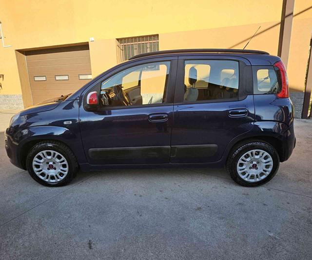 FIAT Panda 1.2 EasyPower Easy Immagine 3