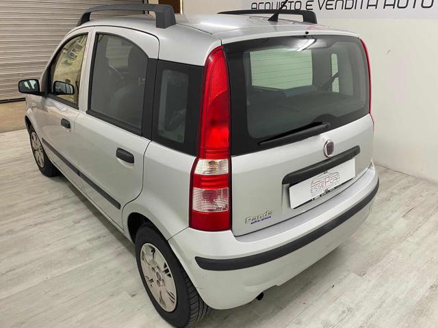 FIAT Panda 1.2 Dynamic NEOPATENTATI Immagine 2