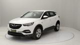 OPEL Grandland X 1.5 ecotec Business s&s 130cv