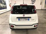 FIAT Panda Cross 1.0 FireFly S&S Hybrid