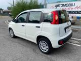 FIAT Panda 1.2 Lounge NEOPATENTATI