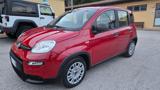 FIAT Panda 1.0 HYBRID S&S 70 CV SENSORI PARK RADIO TOUCH BT