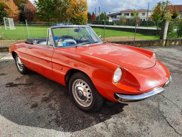 ALFA ROMEO Spider 1600 Duetto Osso di Seppia Immagine 2