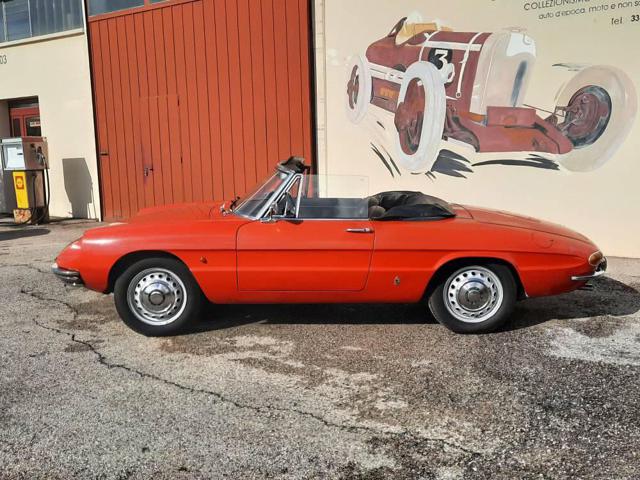 ALFA ROMEO Spider 1600 Duetto Osso di Seppia Immagine 3