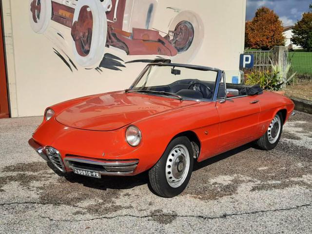 ALFA ROMEO Spider 1600 Duetto Osso di Seppia Immagine 0