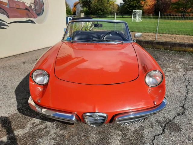 ALFA ROMEO Spider 1600 Duetto Osso di Seppia Immagine 1