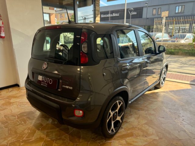 FIAT Panda 1.0 FireFly S&S Hybrid Sport Immagine 3