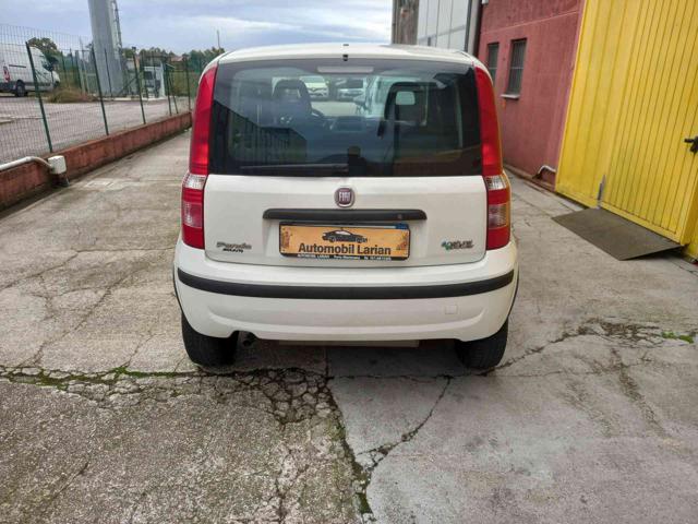 FIAT Panda 1.4 Active Natural Power per neopatentati Immagine 4