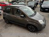 FIAT Panda 1.0 FireFly Hybrid City-Life + gpl