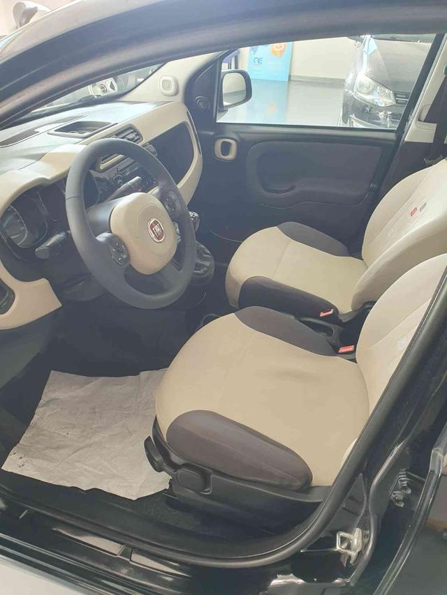 FIAT Panda 1.3 MJT NEOPATENTATI Immagine 4