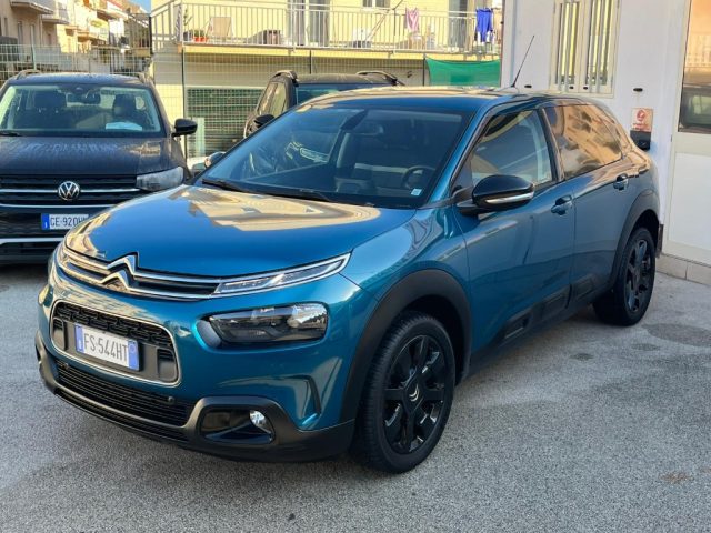 CITROEN C4 Cactus BlueHDi 100 S&S Shine Immagine 3