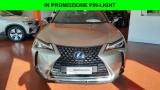 LEXUS UX 250h UX Hybrid Business