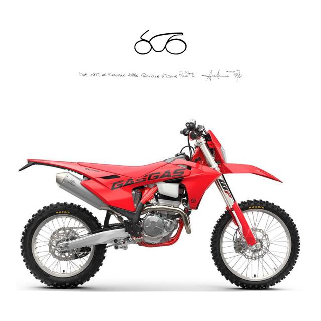 GAS GAS EC 250 EC 250 F MY 2025 Immagine 0