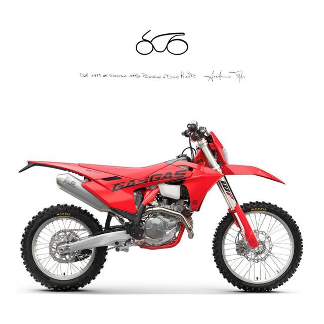 GAS GAS EC 450 EC 450 F MY 2025 Immagine 0