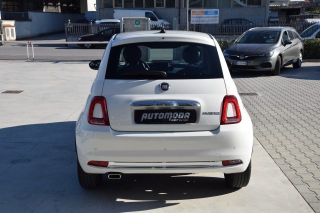 FIAT 500 1.0 70CV Hybrid Dolcevita Immagine 4