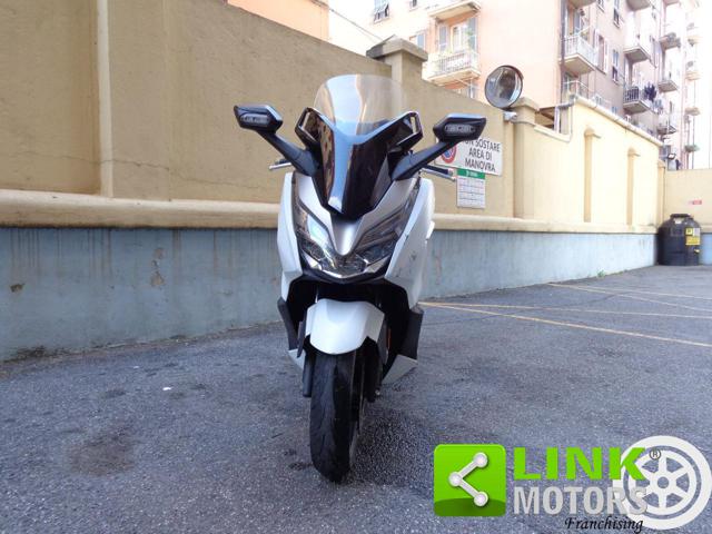 HONDA Forza 300 NSS 300 ABS Immagine 1