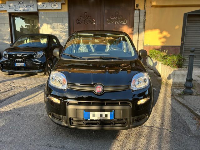 FIAT Panda 1.0 FireFly S&S Hybrid Pandina KM0 Immagine 0