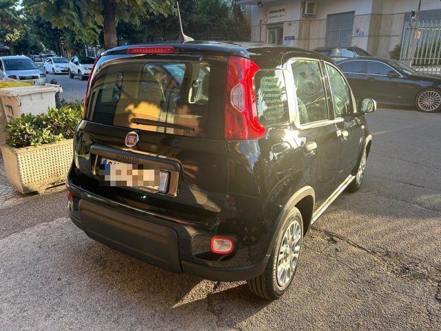 FIAT Panda 1.0 FireFly S&S Hybrid Pandina KM0 Immagine 2