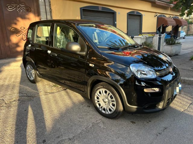 FIAT Panda 1.0 FireFly S&S Hybrid Pandina KM0 Immagine 1