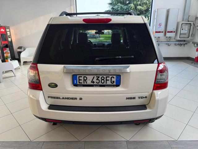 LAND ROVER Freelander 2.2 TD4 S.W. HSE Immagine 4