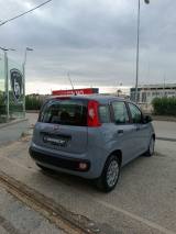 FIAT Panda 1.3  multijet 95 cv Lounge