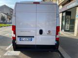 FIAT Ducato 33 2.3 MJT 120CV PM-TM Furgone  ?16900+ IVA