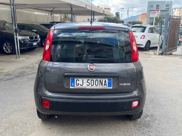 FIAT Panda 1.0 FireFly S&S Hybrid Immagine 4