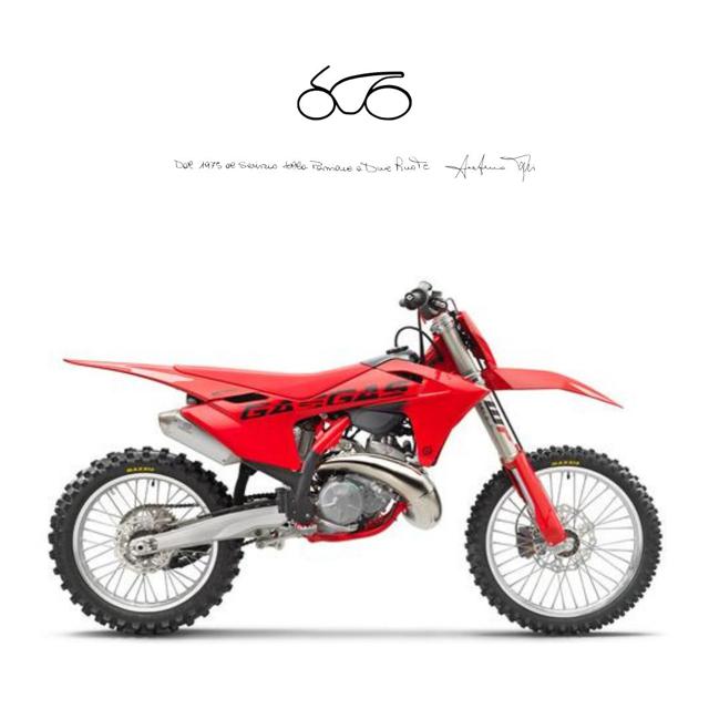 GAS GAS Other MC 250 MY 2025 Immagine 0