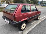 FIAT Panda 1ª serie 1100 i.e. cat 4x4 Trekking