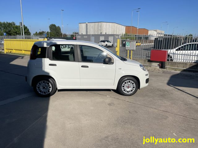 FIAT Panda 1.0 FireFly S&S Hybrid OK NEOPATENTATI Immagine 3