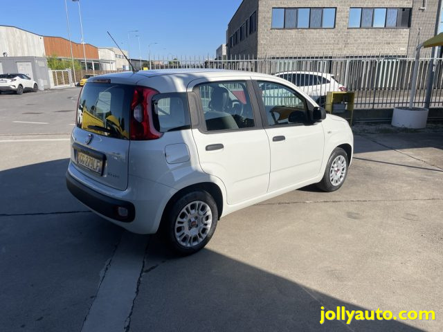 FIAT Panda 1.0 FireFly S&S Hybrid OK NEOPATENTATI Immagine 4