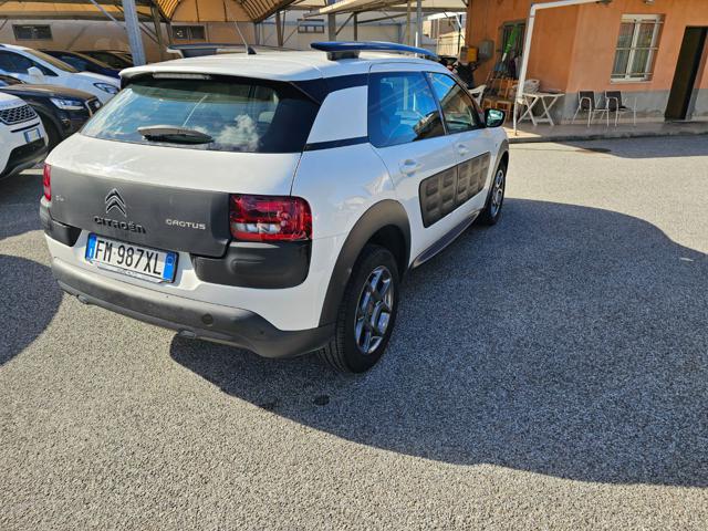 CITROEN C4 Cactus PureTech 82 Shine Immagine 4