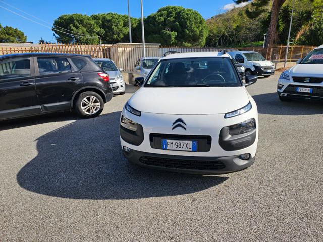 CITROEN C4 Cactus PureTech 82 Shine Immagine 1