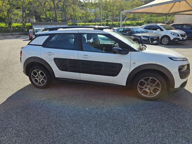 CITROEN C4 Cactus PureTech 82 Shine Immagine 3