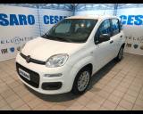 FIAT New Panda 1.0 firefly hybrid 70cv 5 posti