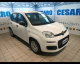 FIAT New Panda 1.0 firefly hybrid 70cv 5 posti