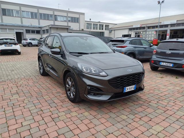 FORD Kuga 3ª serie  2.0 EcoBlue 120 CV aut. AWD ST-Line Immagine 0