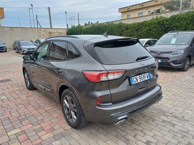 FORD Kuga 3ª serie  2.0 EcoBlue 120 CV aut. AWD ST-Line Immagine 3