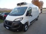 FIAT Ducato 35 2.2 Mjt 140CV PLungo-TMedio FRIGO FRAX-O