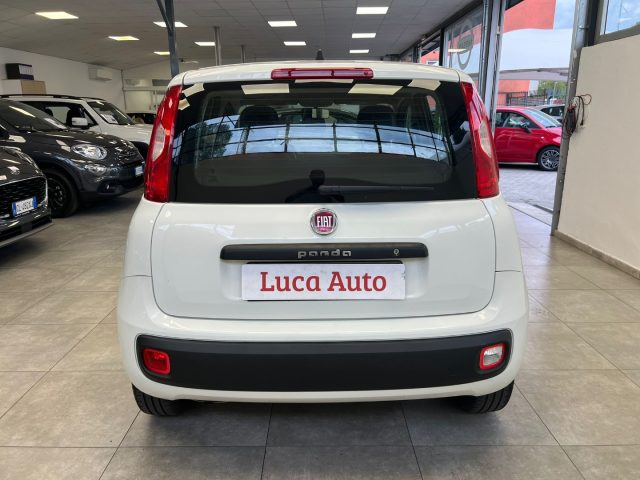 FIAT Panda 1.2 69CV *UNICO PROP.*TAGLIANDI*OK NEOPATENTATI* Immagine 4