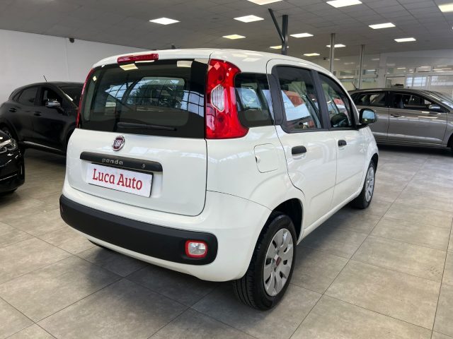 FIAT Panda 1.2 69CV *UNICO PROP.*TAGLIANDI*OK NEOPATENTATI* Immagine 3