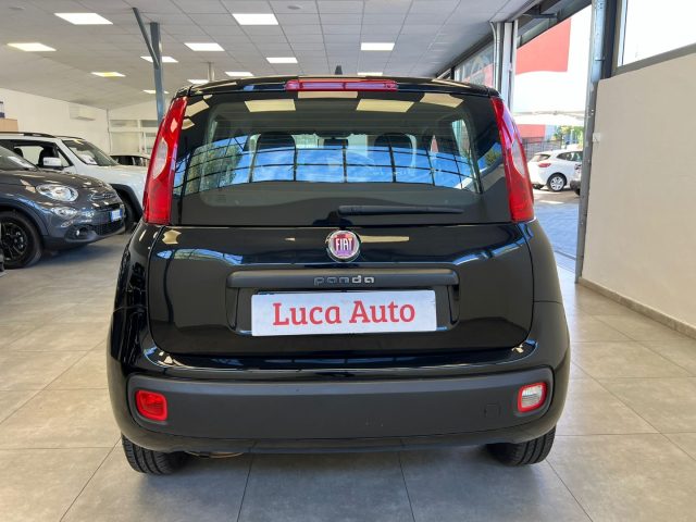 FIAT Panda 1.2 GPL *UNICO PROP.*TAGLIANDI CERTIF.* Immagine 4