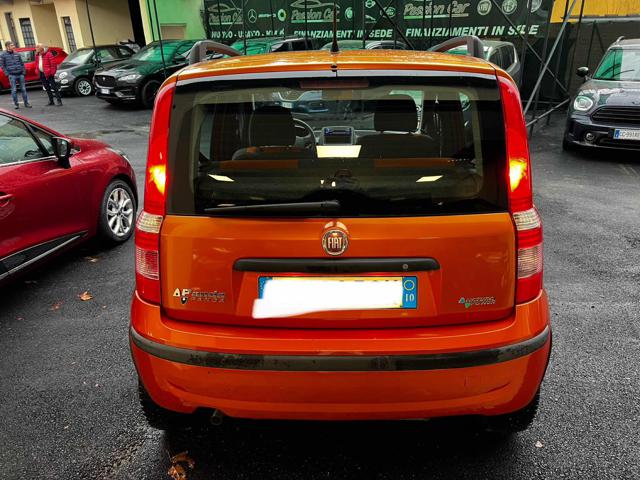 FIAT Panda 1.2 Dynamic Natural Power Immagine 3