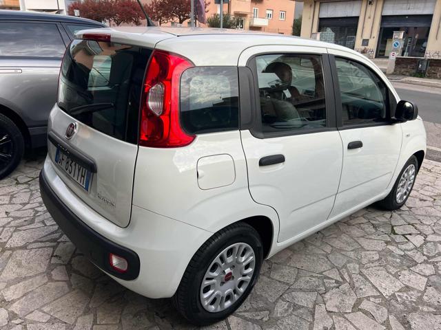 FIAT Panda 1.0 FireFly S&S Hybrid City Life Immagine 4