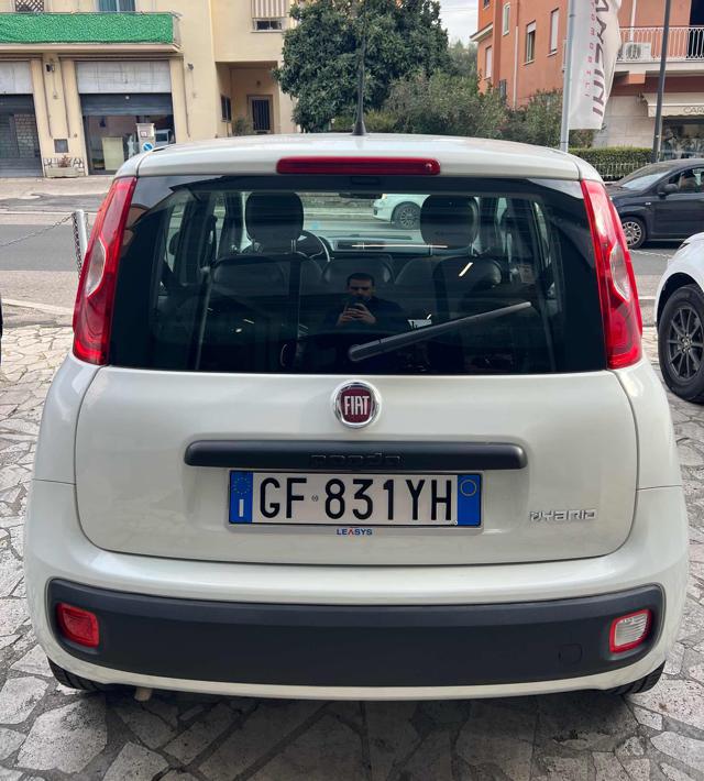 FIAT Panda 1.0 FireFly S&S Hybrid City Life Immagine 3